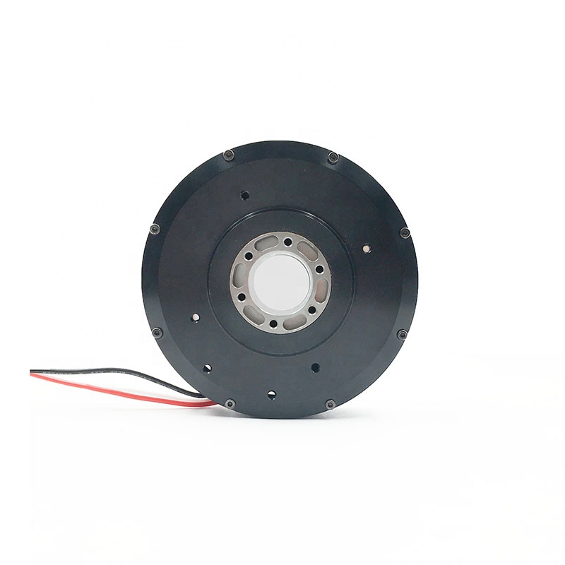 PM100 High Torque Big Hollow S - Direct Drive Servo Motor Robotics review and price