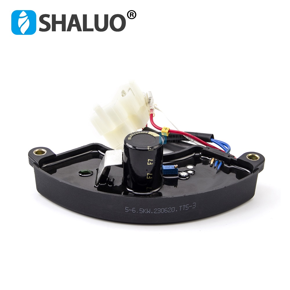 Universal 5KW 6.5KW AVR Three  - Cycloidal Reducer Bldc Motor review and price
