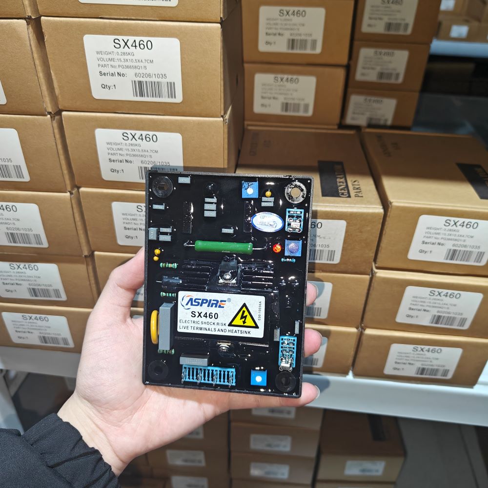 SX460 AVR Diesel Generator Aut - Cycloidal Reducer Bldc Motor review and price