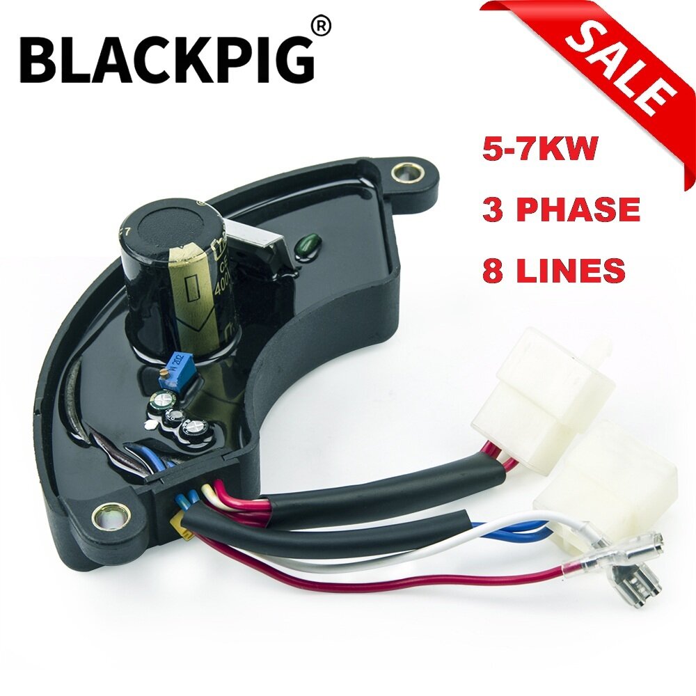8 Wires 5KW 7KW AVR Generator  - Cycloidal Reducer Bldc Motor review and price