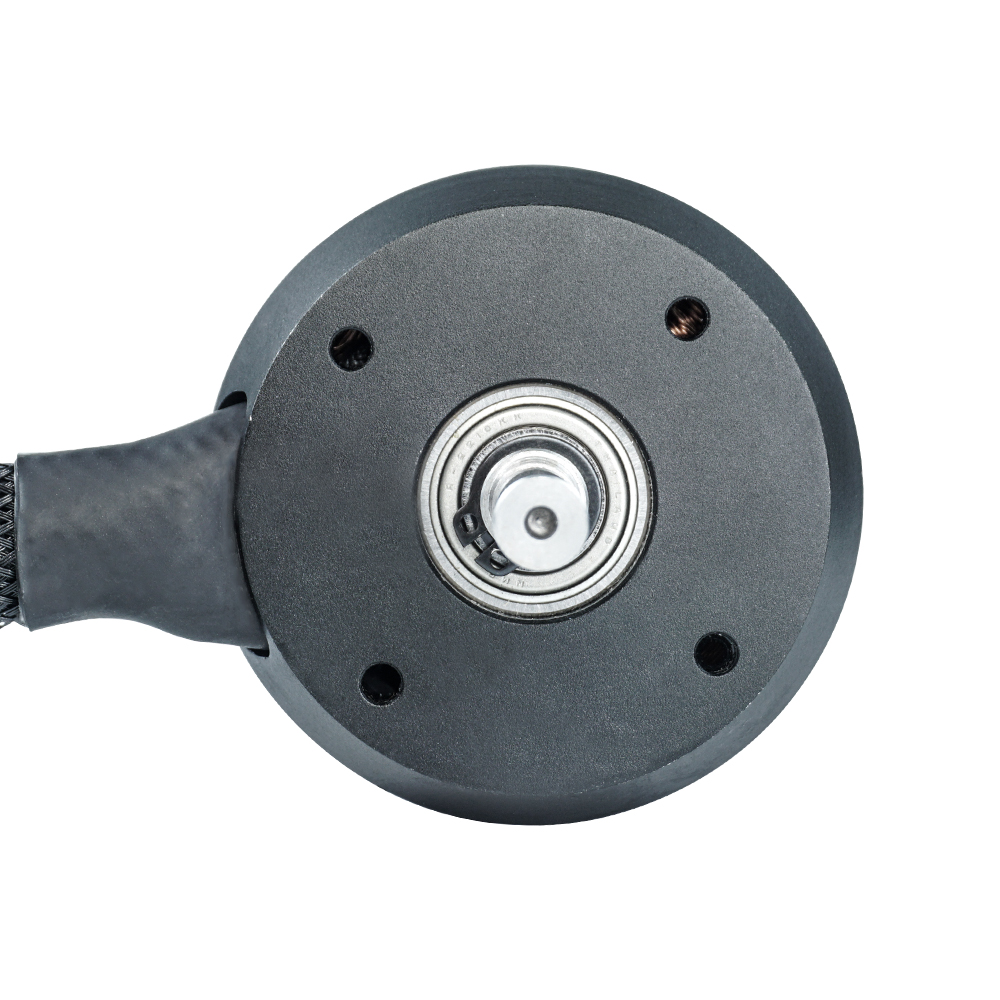 Flipsky Sensored Outrunner Bru - 63100 Brushless Motor 140Kv review and price