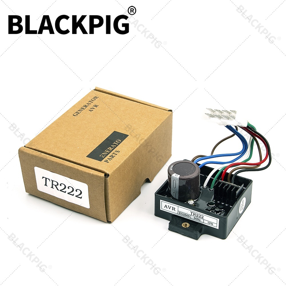 TR222 EG2500 AVR Automatic Vol - Cycloidal Reducer Bldc Motor review and price