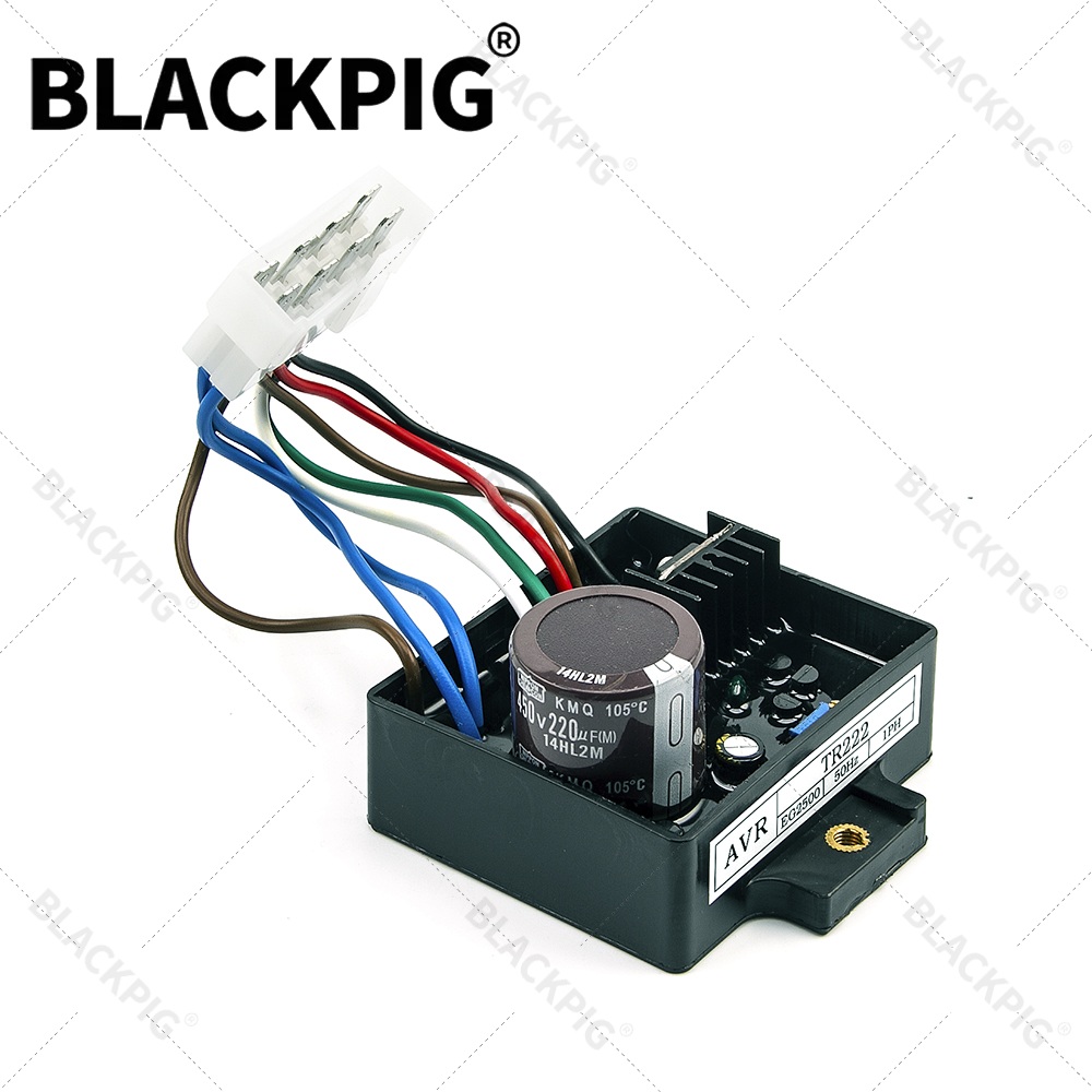 TR222 EG2500 AVR Automatic Vol - Cycloidal Reducer Bldc Motor review and price